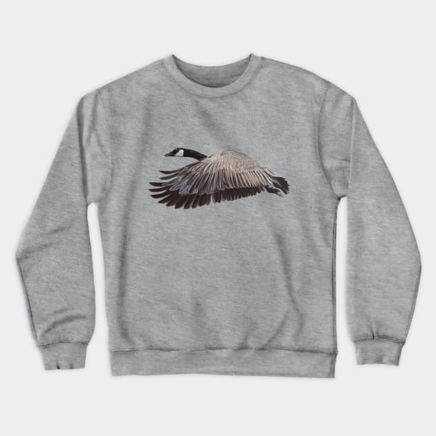 Canada Goose in flight Crewneck Sweatshirt by EmilyBickell